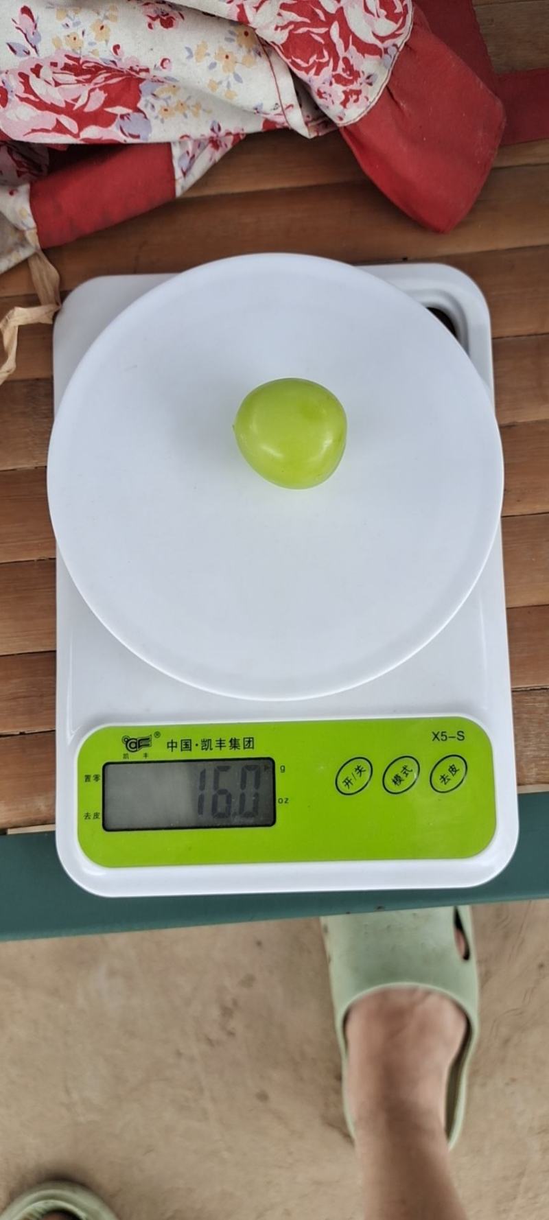 阳光玫瑰