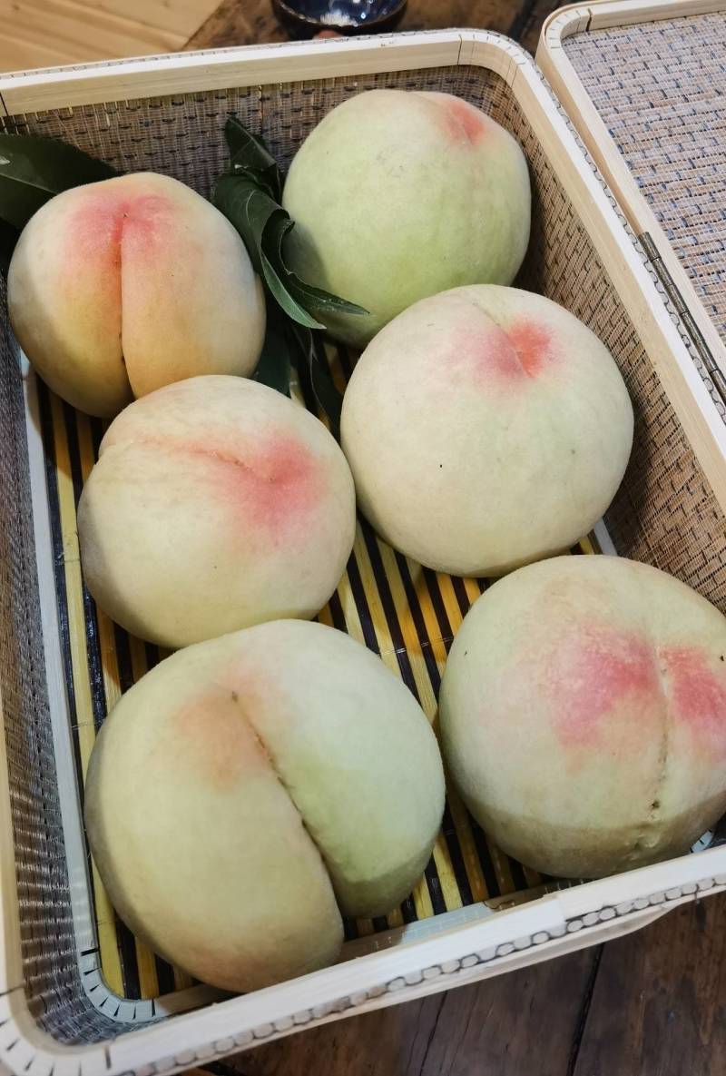 基地现摘正宗高山湖景蜜露水蜜桃白凤水蜜桃