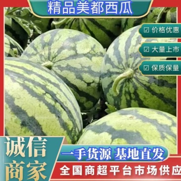 精品头茬无仔美都，支持电商，超市，市场，欢迎各位