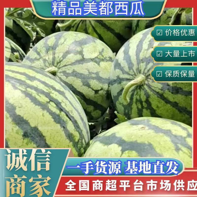 精品头茬无仔美都，支持电商，超市，市场，欢迎各位