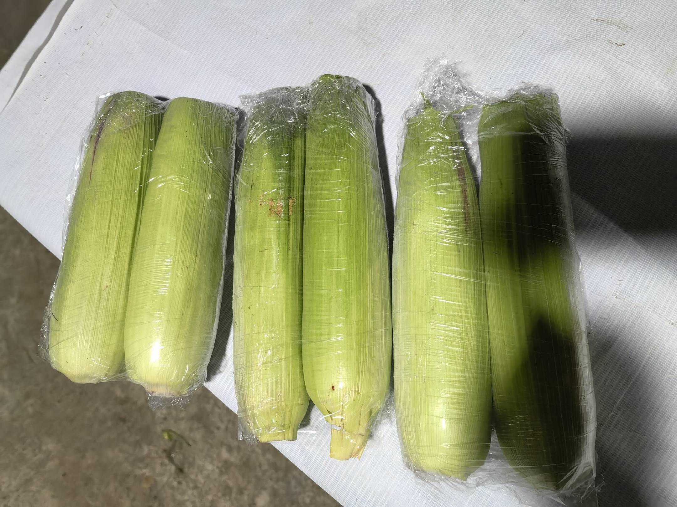 鲜糯玉米冷冻处理过程