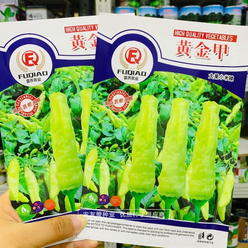 黄金甲辣椒种子大果小米辣种子韩国引进特辣泡椒小米椒种子
