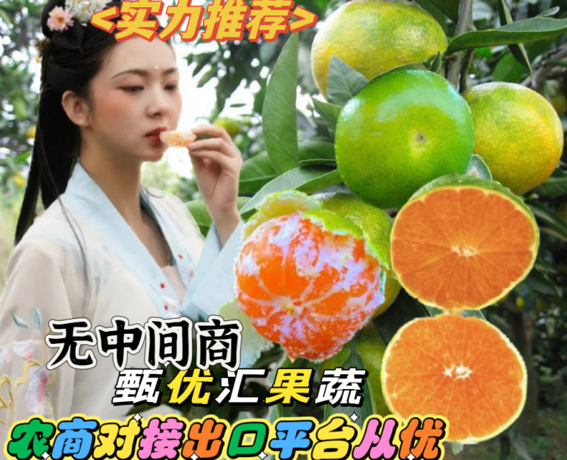 特早蜜橘电商团购工厂罐头10年收货打包出货一件代发