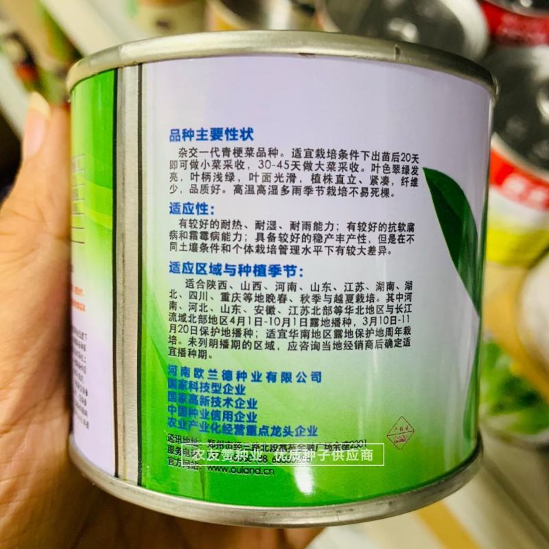 欧兰德夏美玉青梗菜种子耐热耐雨耐湿纤维少越夏春秋播种