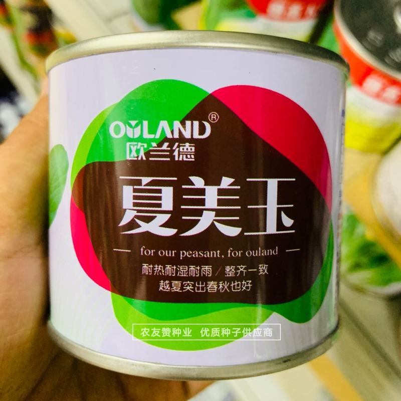 欧兰德夏美玉青梗菜种子耐热耐雨耐湿纤维少越夏春秋播种