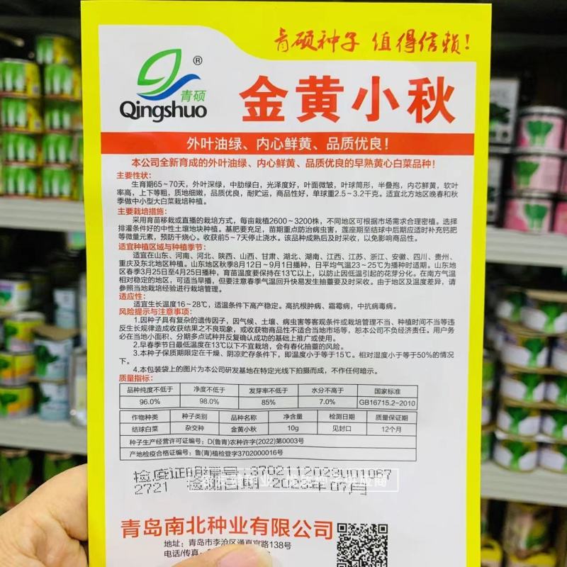 早熟黄心白菜种子青硕金黄小秋白菜种子内芯鲜黄大白菜种子