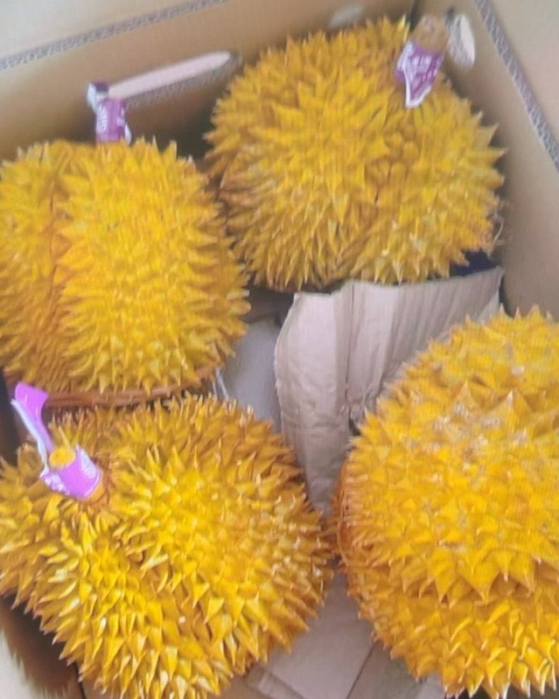 榴莲