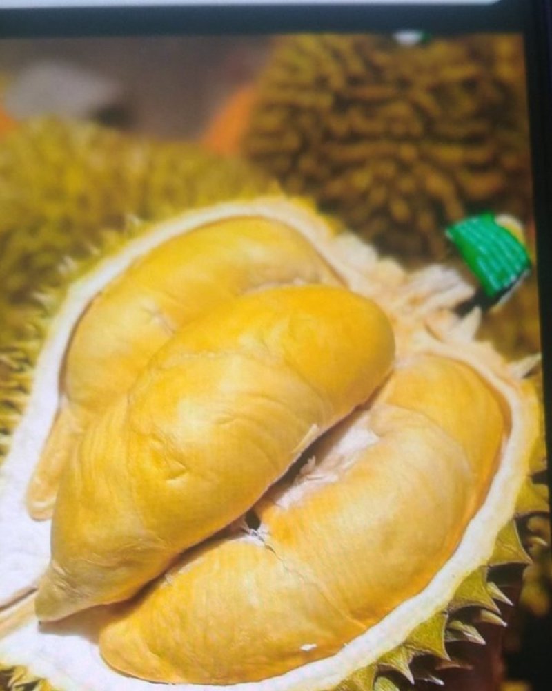 榴莲