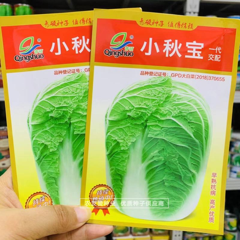 青硕小秋宝大白菜种子早熟抗病优质秋季专用品种叠抱短圆筒形