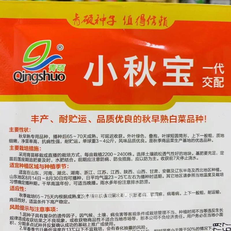 青硕小秋宝大白菜种子早熟抗病优质秋季专用品种叠抱短圆筒形