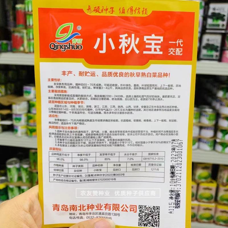 青硕小秋宝大白菜种子早熟抗病优质秋季专用品种叠抱短圆筒形