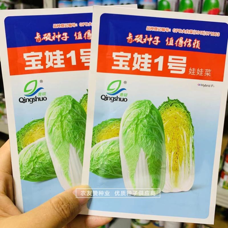 青硕宝娃1号娃娃菜种子春秋小颗型娃娃菜种子娇小玲珑白菜种