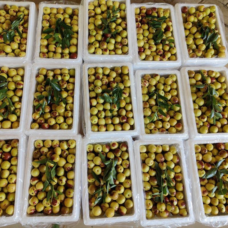 大荔冬枣