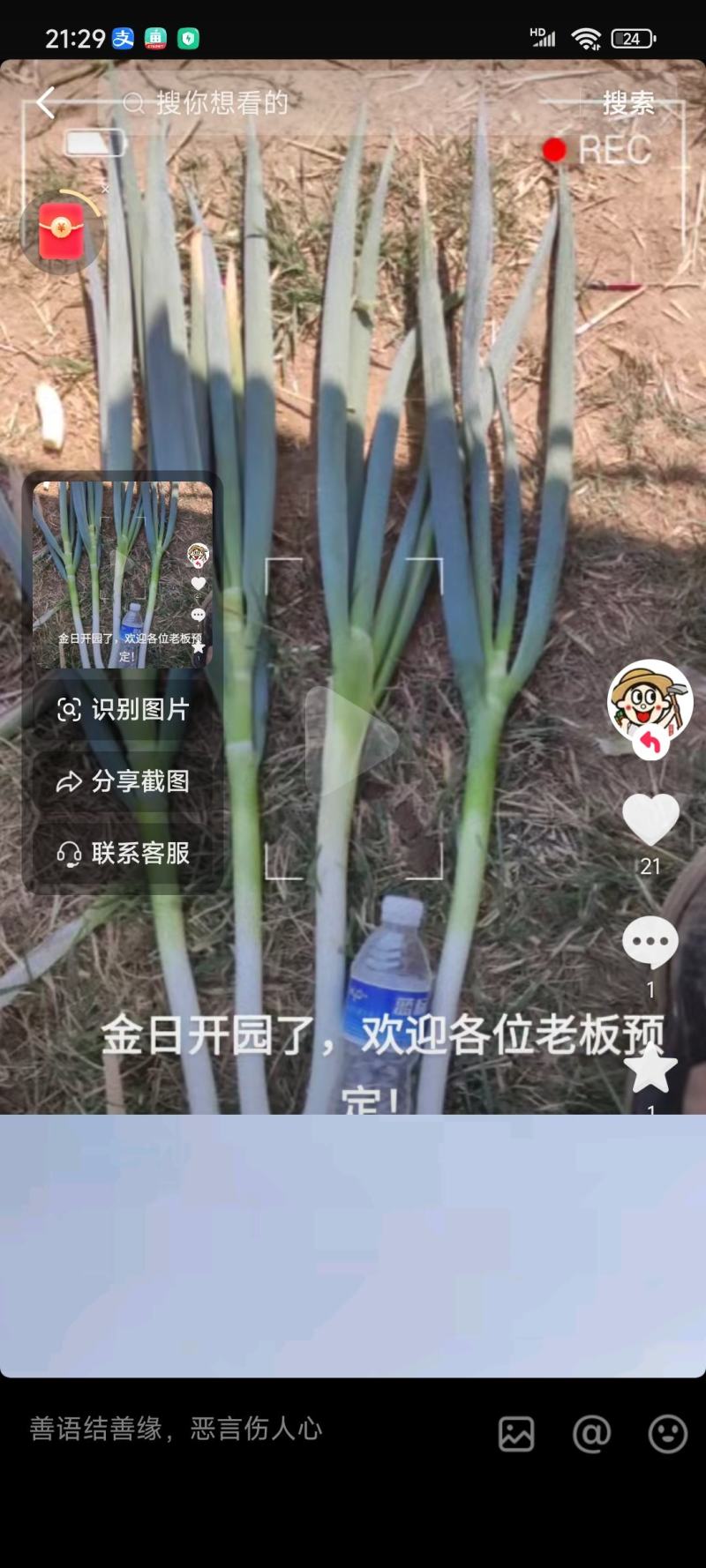大葱