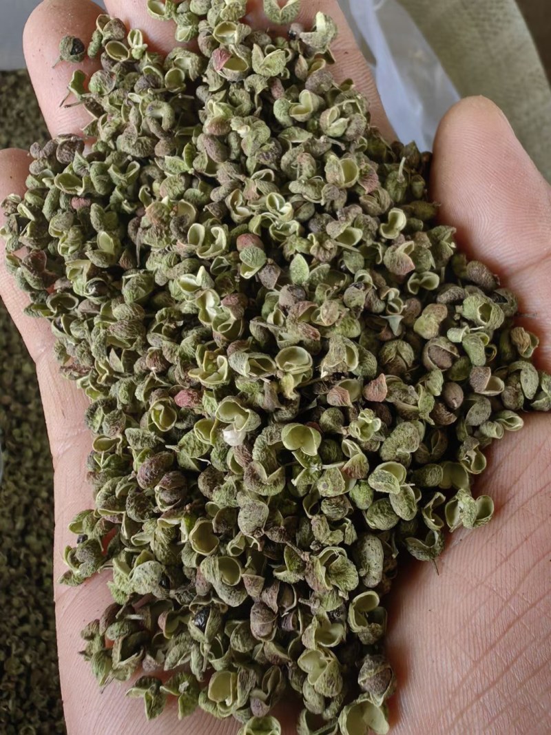 渭南情缘花椒合作社，高原花椒农户一手货源需要的老板联系