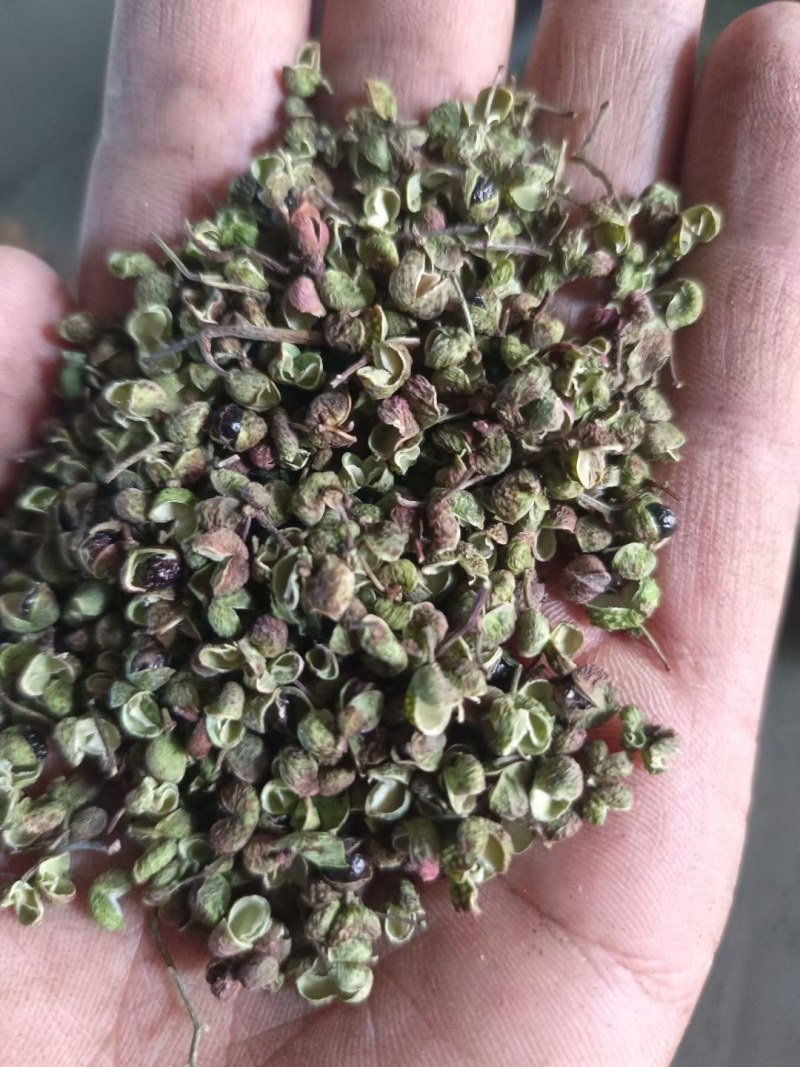 渭南情缘花椒合作社，高原花椒农户一手货源需要的老板联系