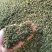 渭南情缘花椒合作社，高原花椒农户一手货源需要的老板联系