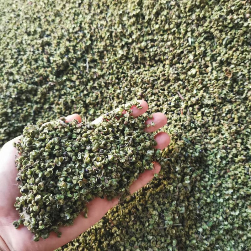 渭南情缘花椒合作社，高原花椒农户一手货源需要的老板联系