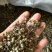 渭南情缘花椒合作社，高原花椒农户一手货源需要的老板联系