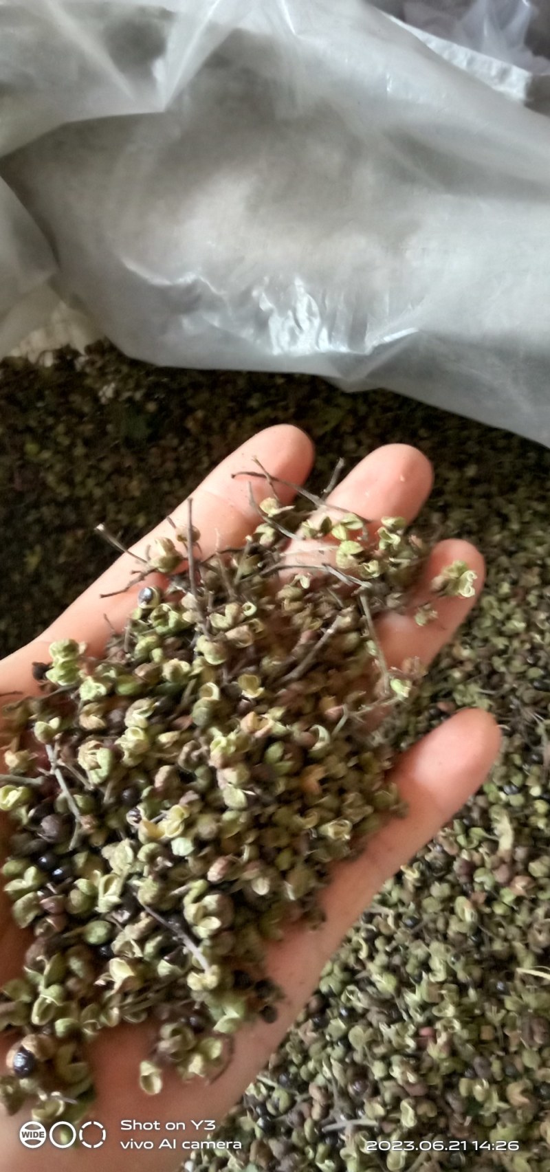 渭南情缘花椒合作社，高原花椒农户一手货源需要的老板联系