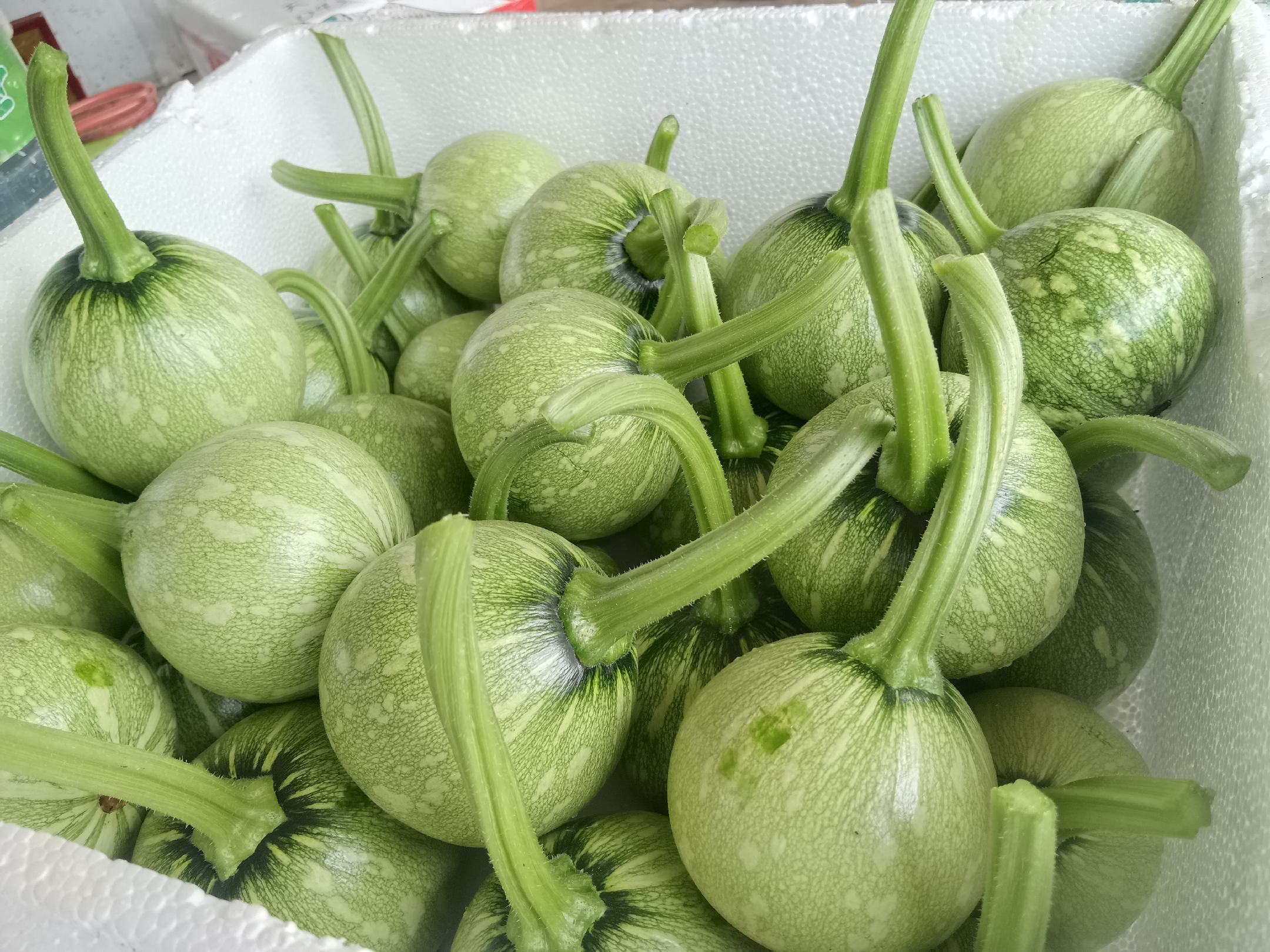 菠菜与黄瓜的对比图