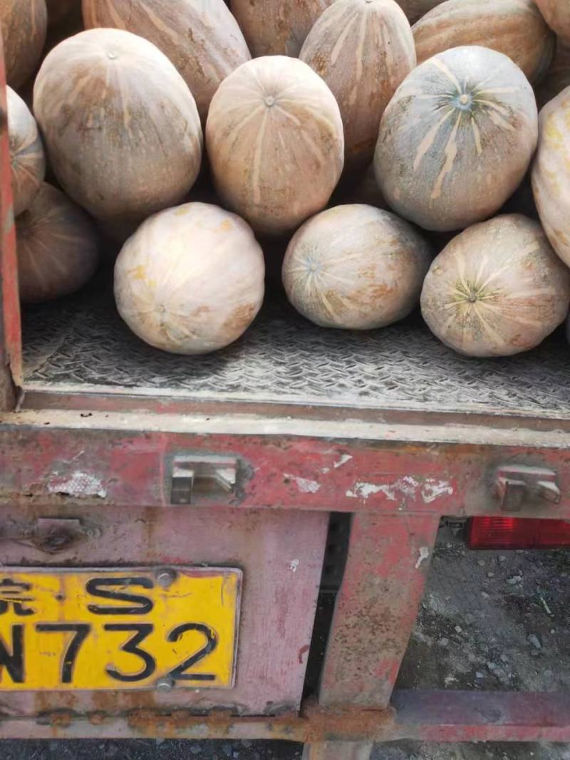 精品自然熟金韩密本老南瓜又甜又面2--6斤
