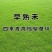 进口早熟禾草坪草籽矮生四季常青庭院别墅耐寒绿化护坡草皮种