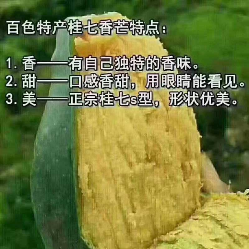 桂七香芒田东县大量上市一手货源承接电商落地配