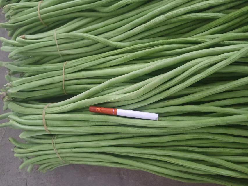 一名农户正在水槽中清洗刚采摘的白不老豆角,豆角呈乳白色、笔直饱满;旁边案板上摆放着已切段并去筋的豆角,刀具整齐排列,背景为农村厨房环境 清洗与切段处理中的白不老豆角