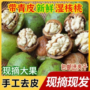 大凉山新鲜核桃水洗一件代发，整车物流发货