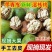 大凉山新鲜核桃水洗一件代发，整车物流发货