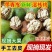 大凉山新鲜核桃水洗一件代发，整车物流发货