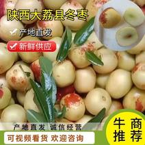 陕西大荔县新鲜供应甜度高支持视频欢迎订购