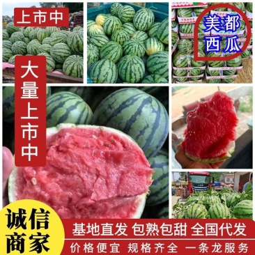 【推荐】开封精品美都西瓜产地直发糖度高口感好