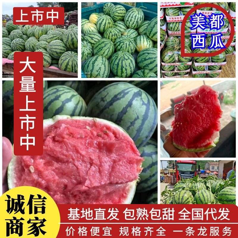 【推荐】开封精品美都西瓜产地直发糖度高口感好