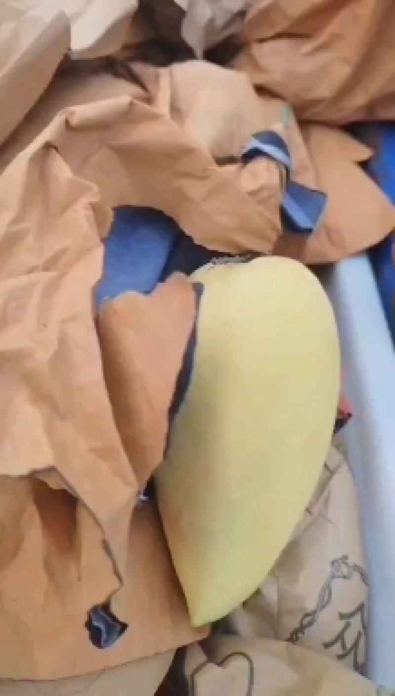 精品芒果