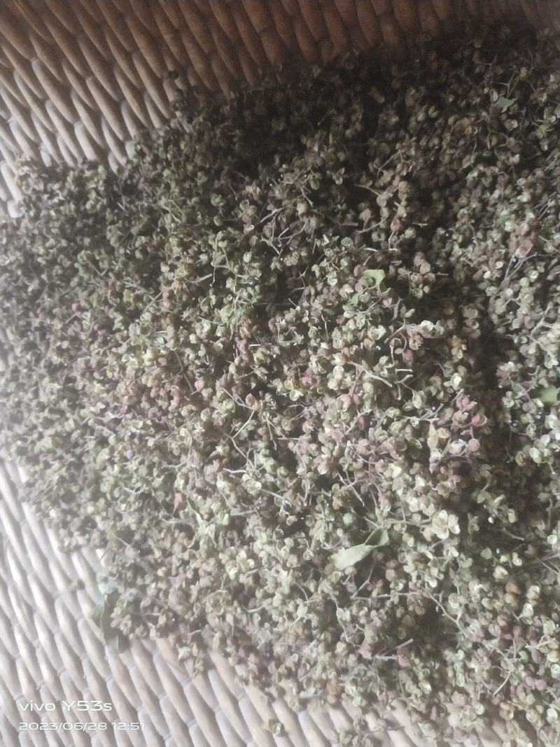 湖北鲜花椒，原产地直发，质量保证，物美价廉欢迎选购～
