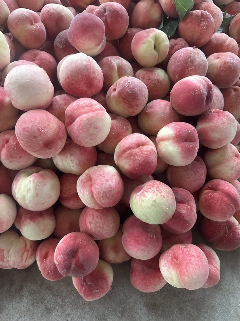 河北陆地景红红岗山大久保水蜜桃🍑大量上市