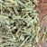 批发现货散装柠檬草优质柠檬草香茅草无硫磺无杂质