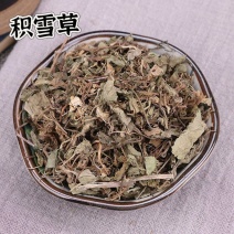 中药材批发零售积雪草落得打铜钱草新货无硫诚信经营