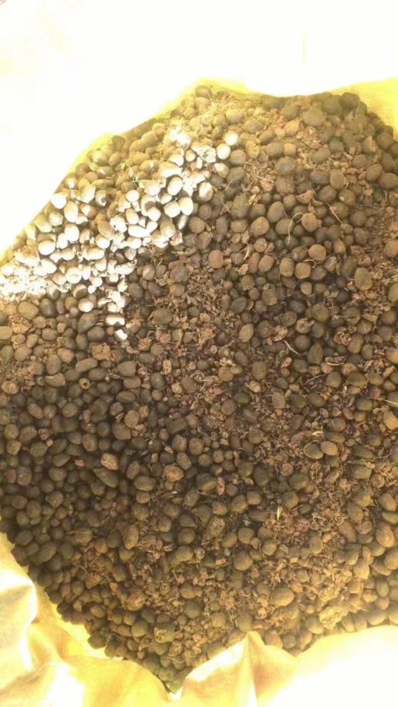 羊粪，有需要的请联系