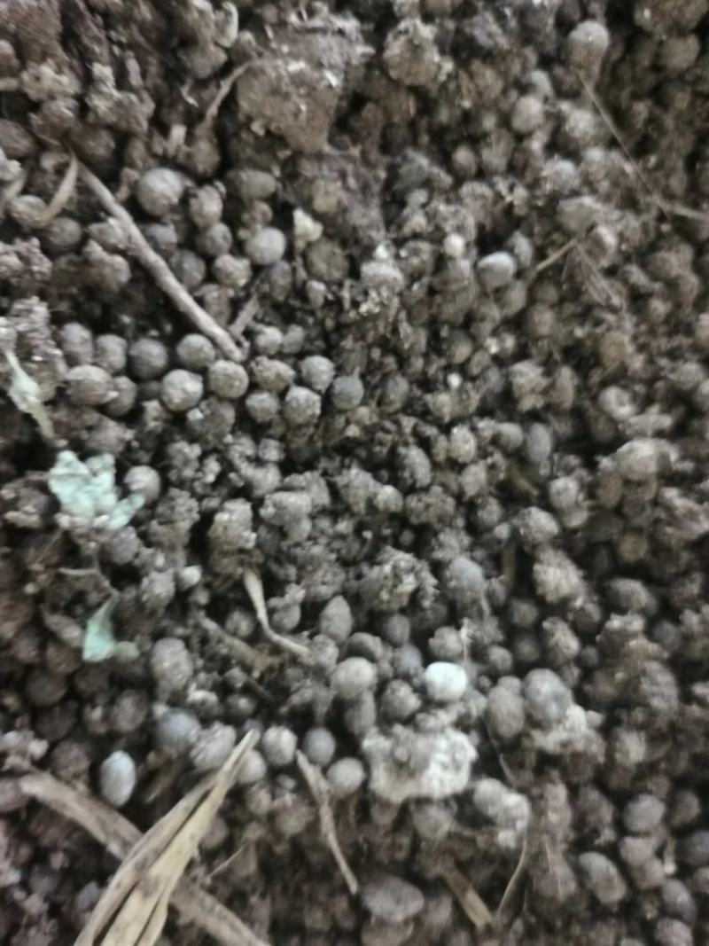羊粪，有需要的请联系