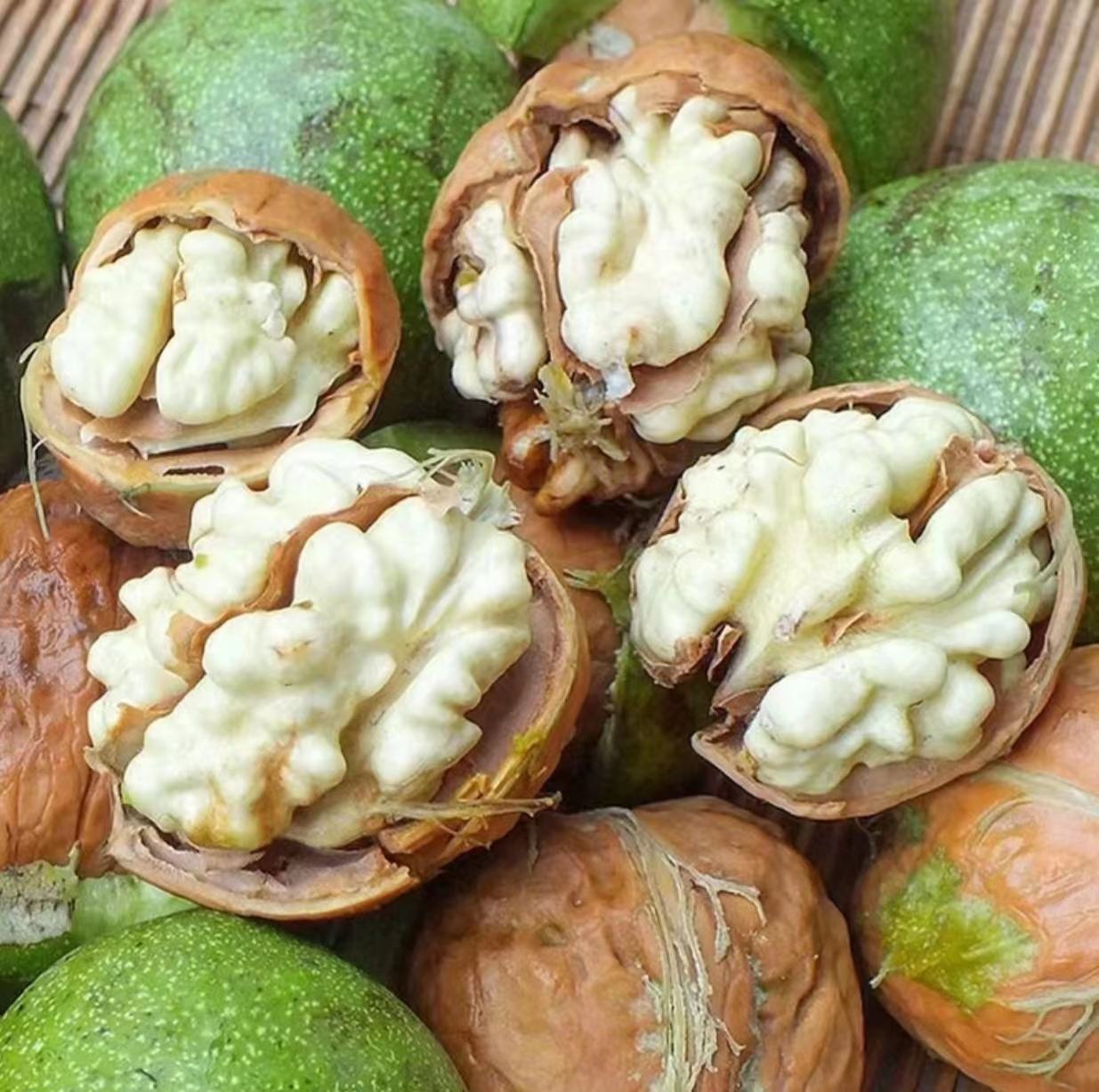 核桃青皮实物图