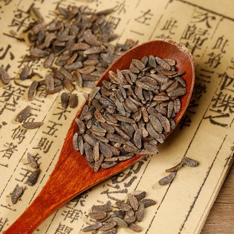 批发现货牛子牛蒡子大力子中药材大全一站式采购点