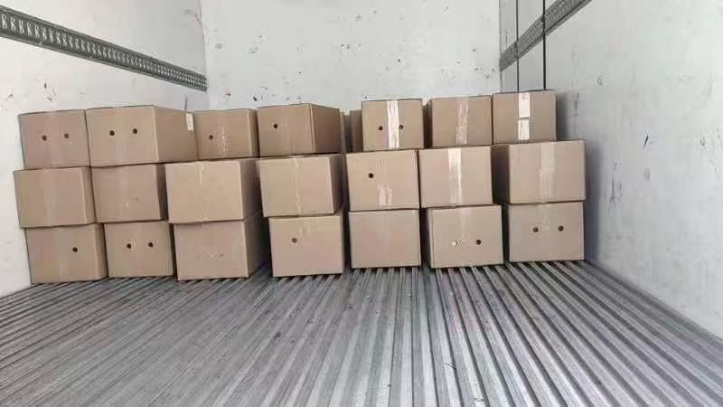 泰国椰子水（泰国椰青）（泰国椰皇）工厂直发