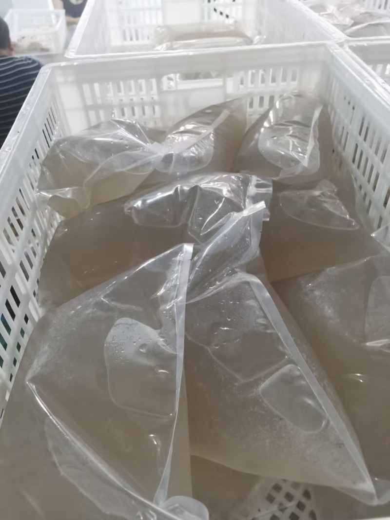 泰国椰子水（泰国椰青）（泰国椰皇）工厂直发