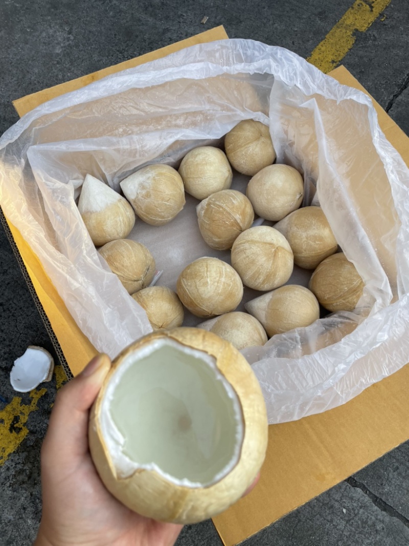 泰国椰子水（泰国椰青）（泰国椰皇）工厂直发