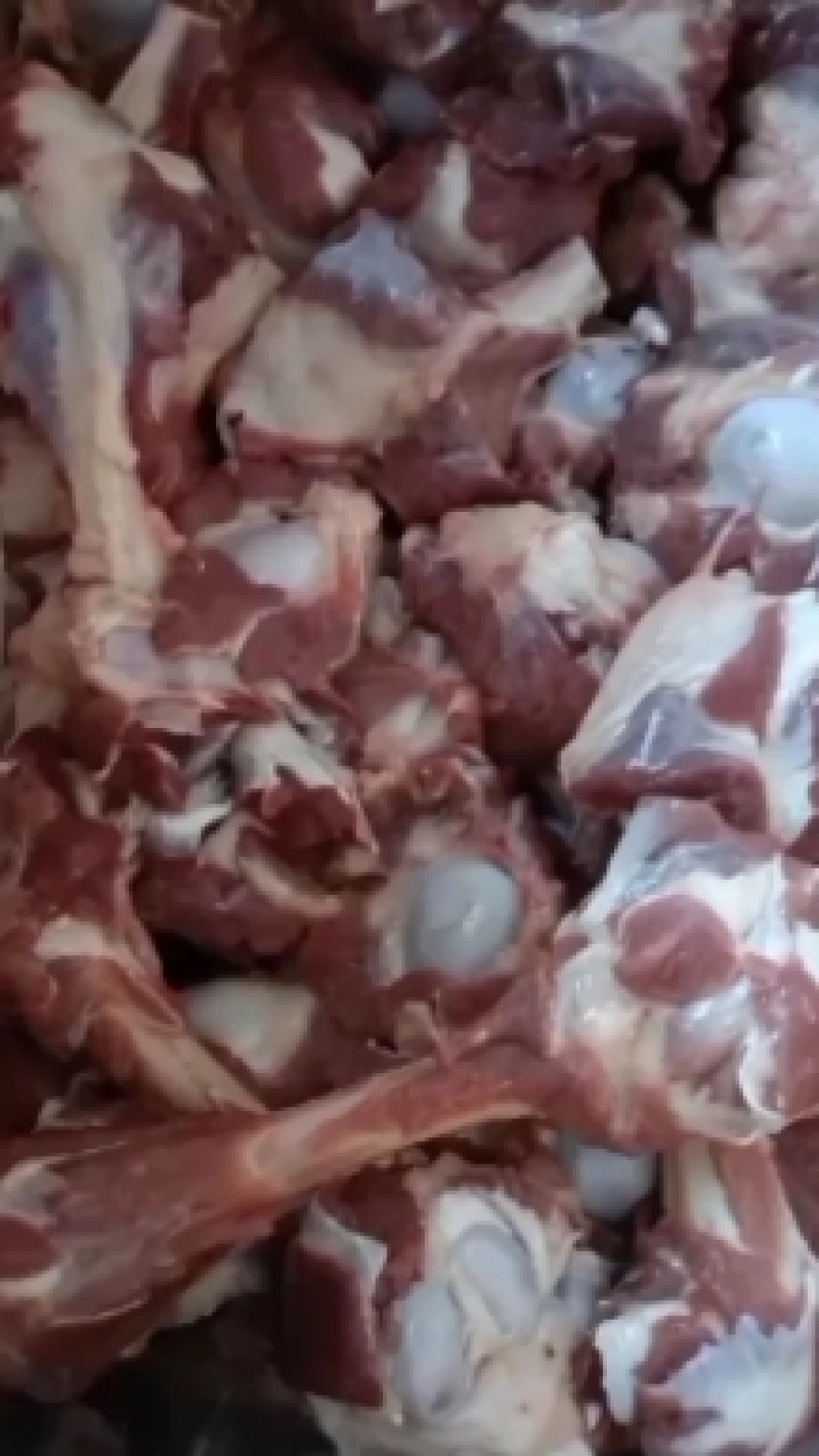 糕羊棒骨加肉款价格合理质量保证需要的老板下单吧！