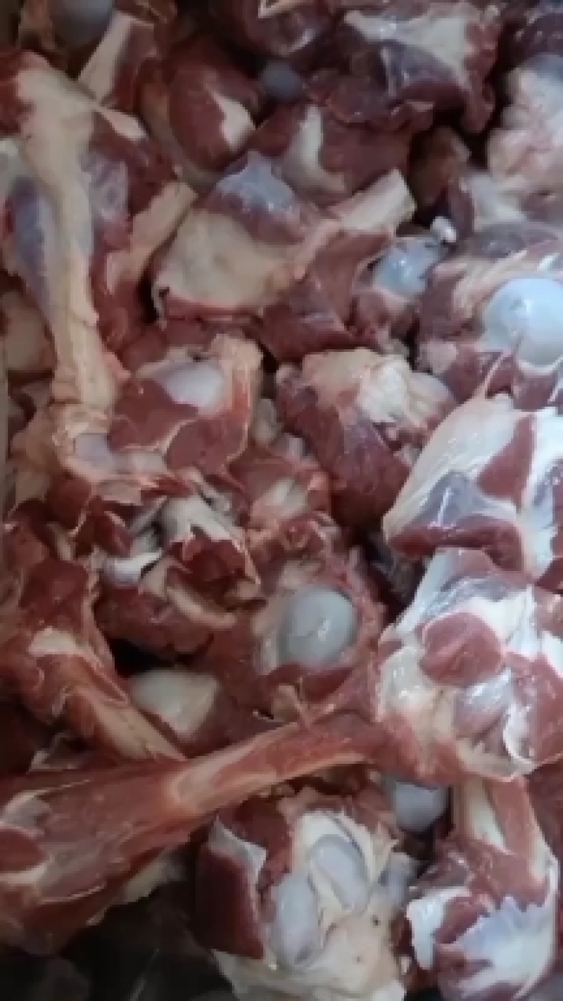 糕羊棒骨加肉款价格合理质量保证需要的老板下单吧！