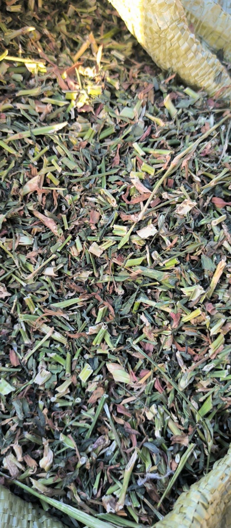 瞿麦中药材批发瞿麦质量保证量大从优